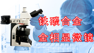 金相顯微鏡鐵碳合金-軟件智能識別組織[博越儀器]