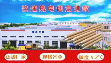 高精度熱電偶-測溫精度≤2℃ 使用返現返完為止[新款博越]