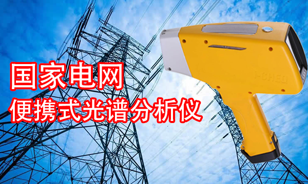 國家電網(wǎng)便攜式光譜分析儀