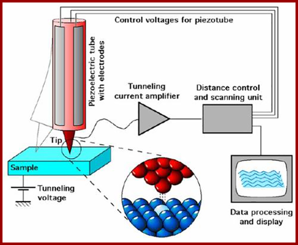 原子力顯微鏡一般多少錢 原子力顯微鏡一般多少錢