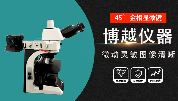 顯微鏡的結構作用